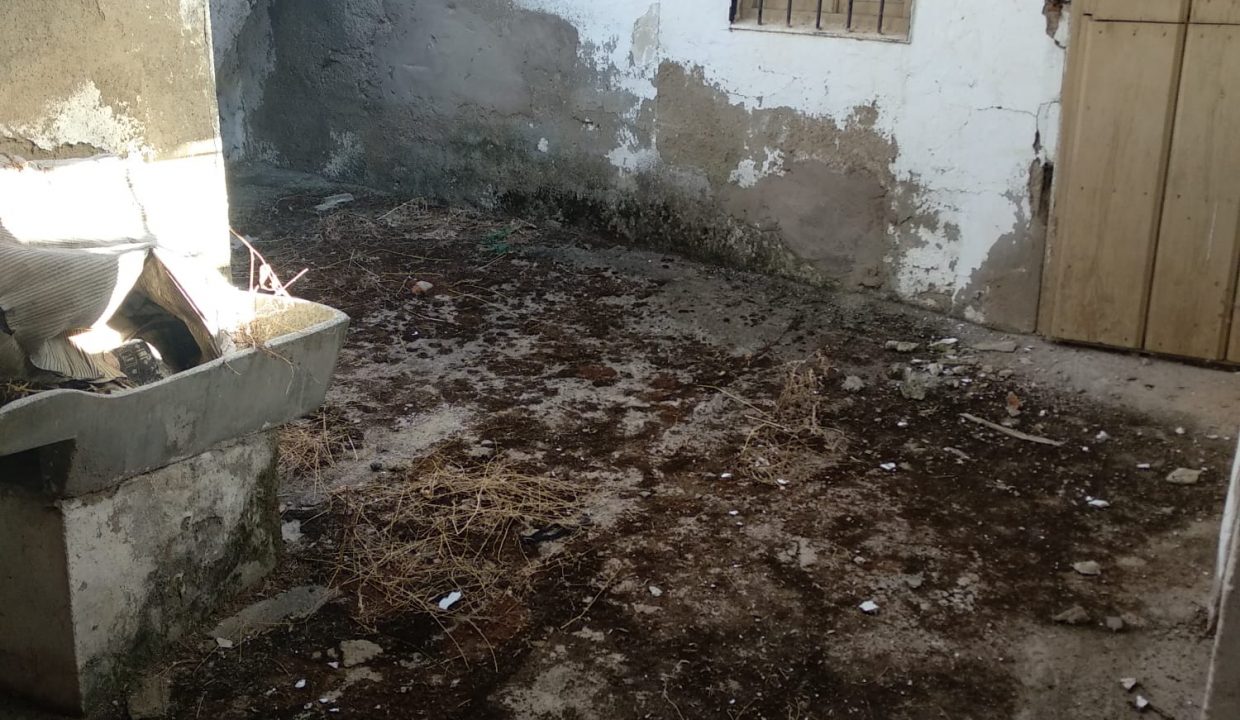 953f447d-e083-4484-ba86-0d237d97504d