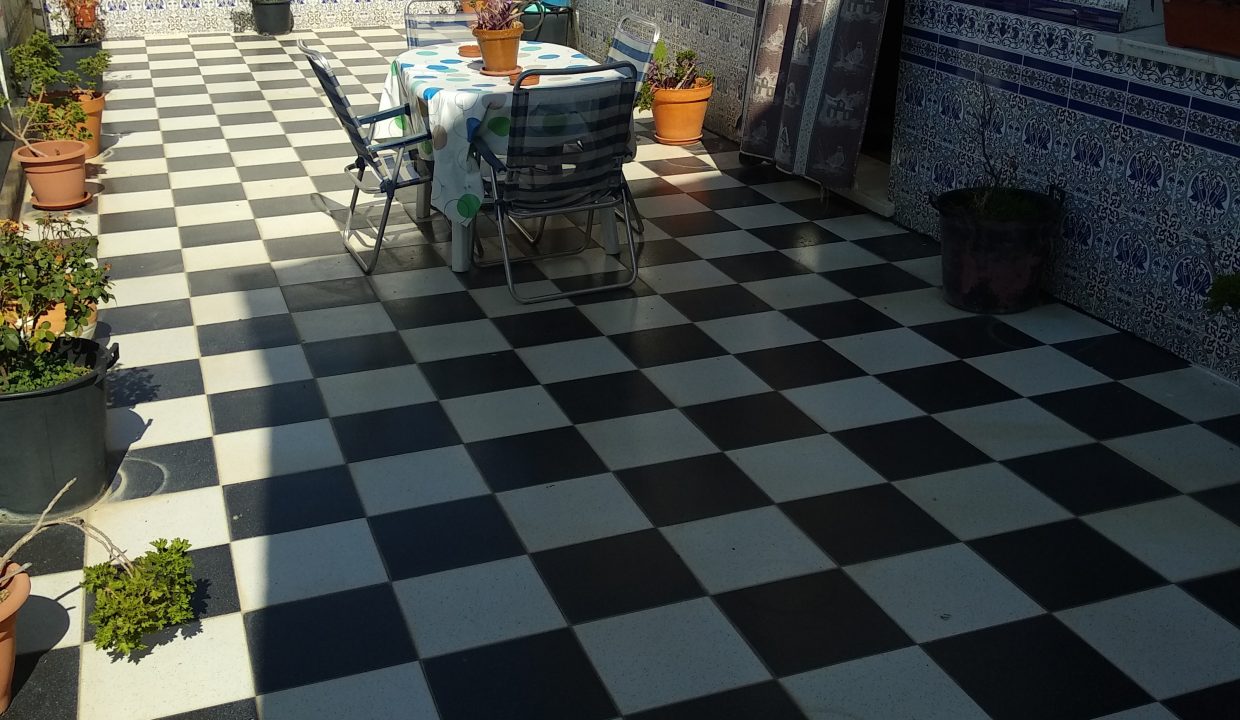 Terraza trasera 2
