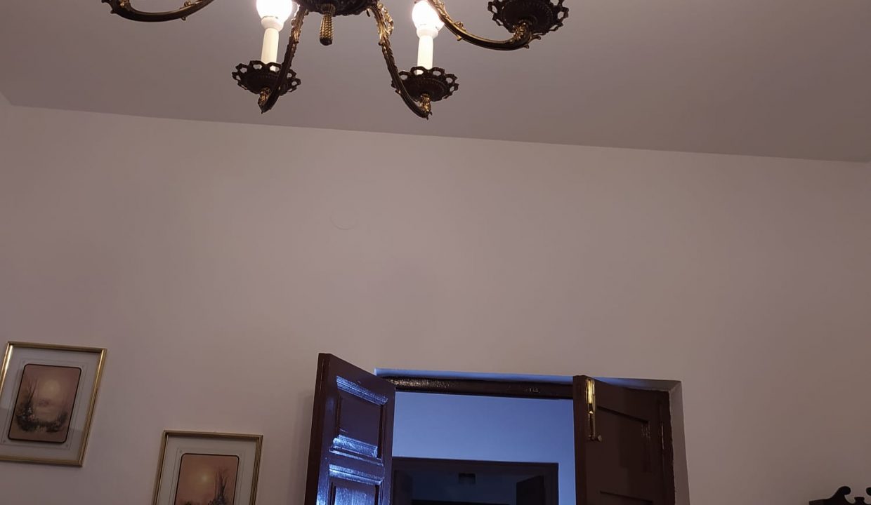 WhatsApp Image 2021-11-04 at 11.03.50 AM (3)