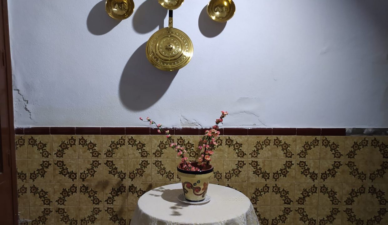 WhatsApp Image 2021-11-04 at 11.06.59 AM (1)