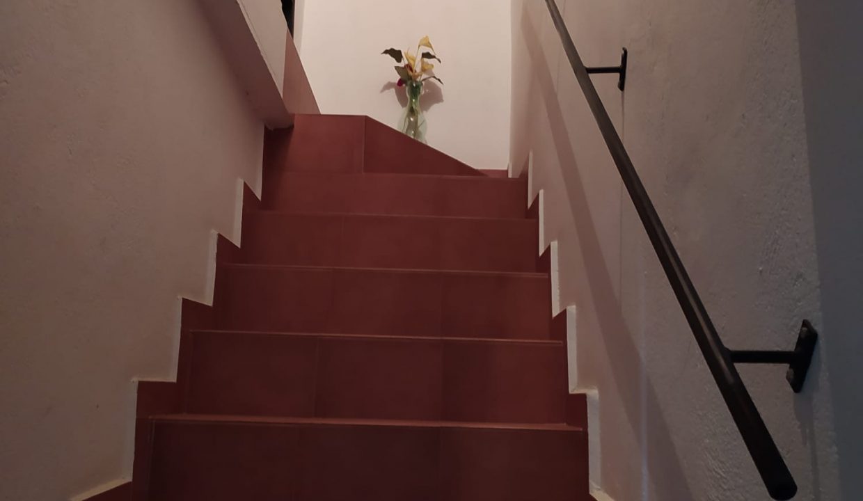 WhatsApp Image 2021-11-04 at 11.07.00 AM (2)