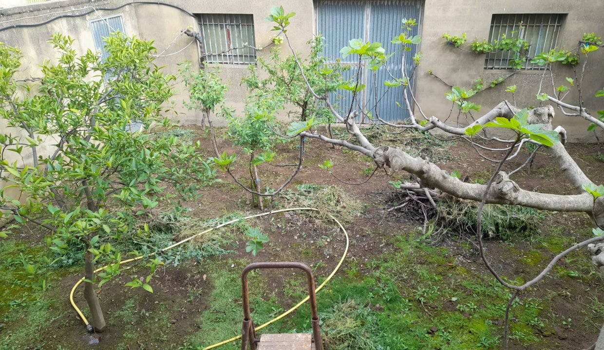 WhatsApp Image 2022-04-13 at 1.48.17 PM (3)