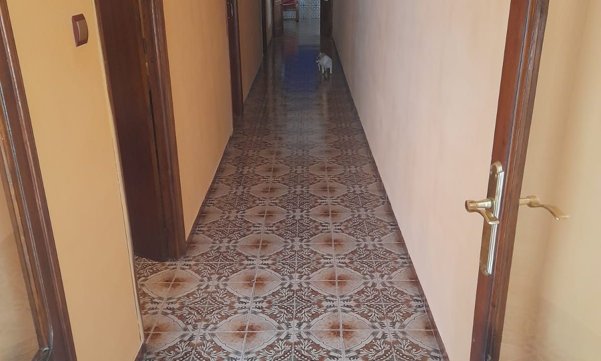 WhatsApp Image 2022-08-05 at 11.56.28 AM (1)