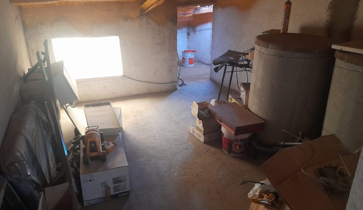 WhatsApp Image 2022-08-05 at 11.56.33 AM (1)