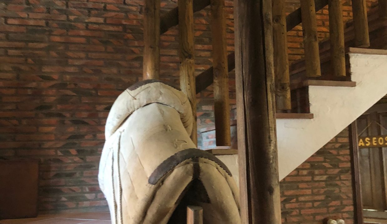 WhatsApp Image 2023-01-09 at 09.32.25