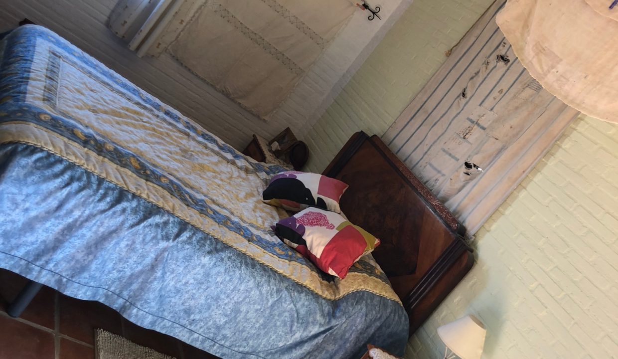 WhatsApp Image 2023-01-09 at 09.32.31