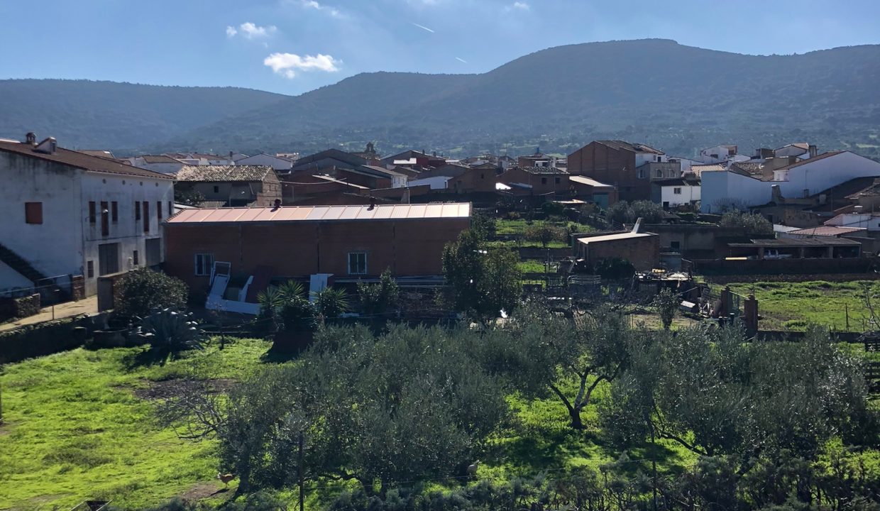 WhatsApp Image 2023-01-09 at 09.32.34