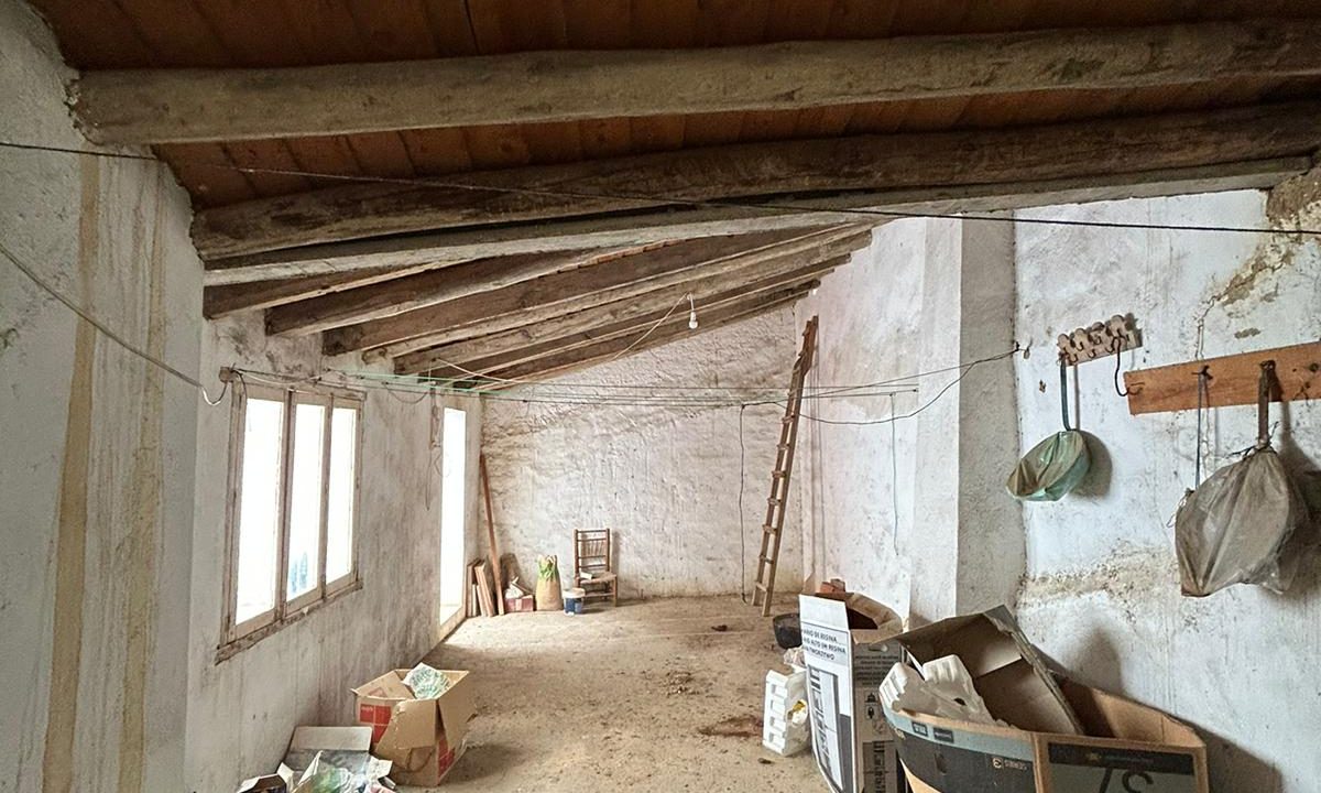 WhatsApp Image 2023-10-31 at 13.46.45 (1)