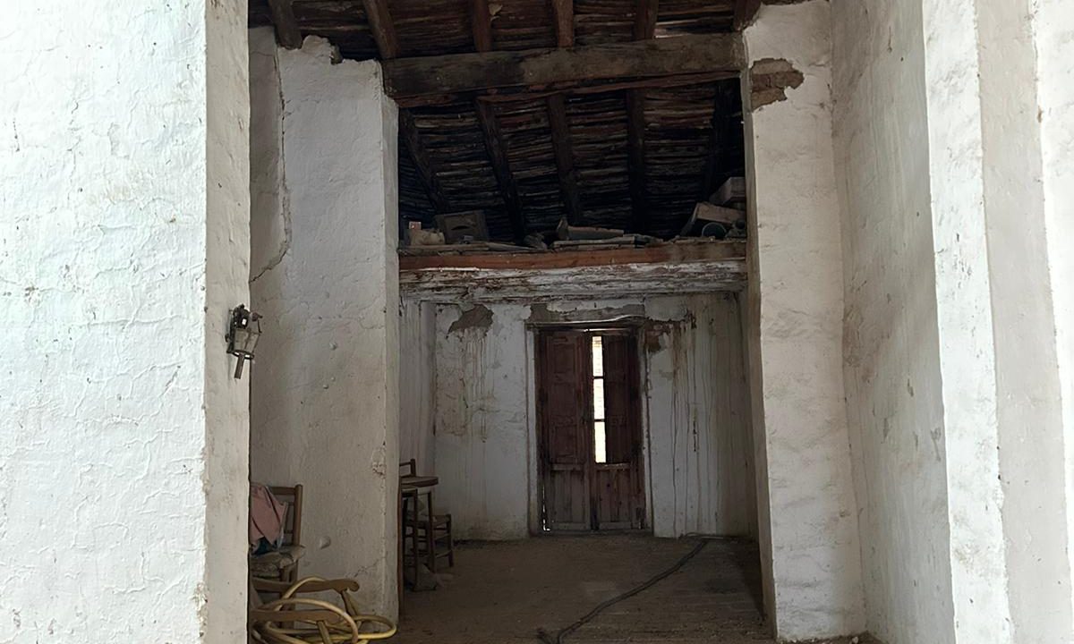 WhatsApp Image 2023-10-31 at 13.46.47