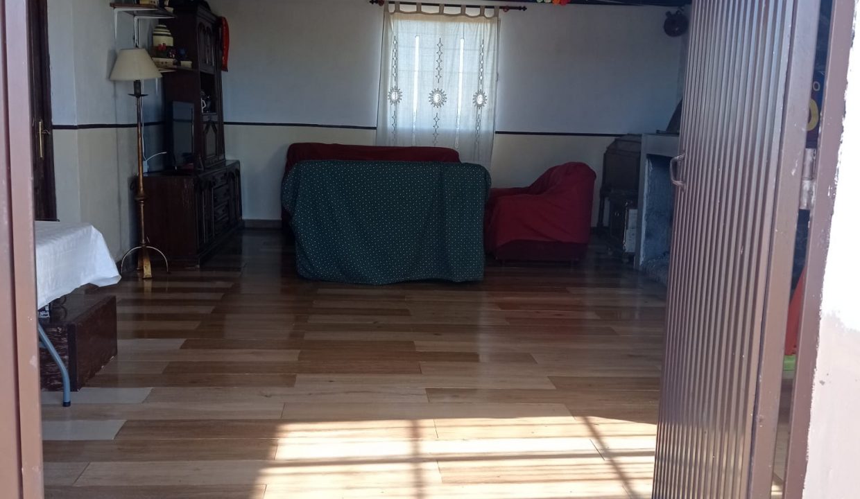 WhatsApp Image 2024-01-23 at 12.36.23