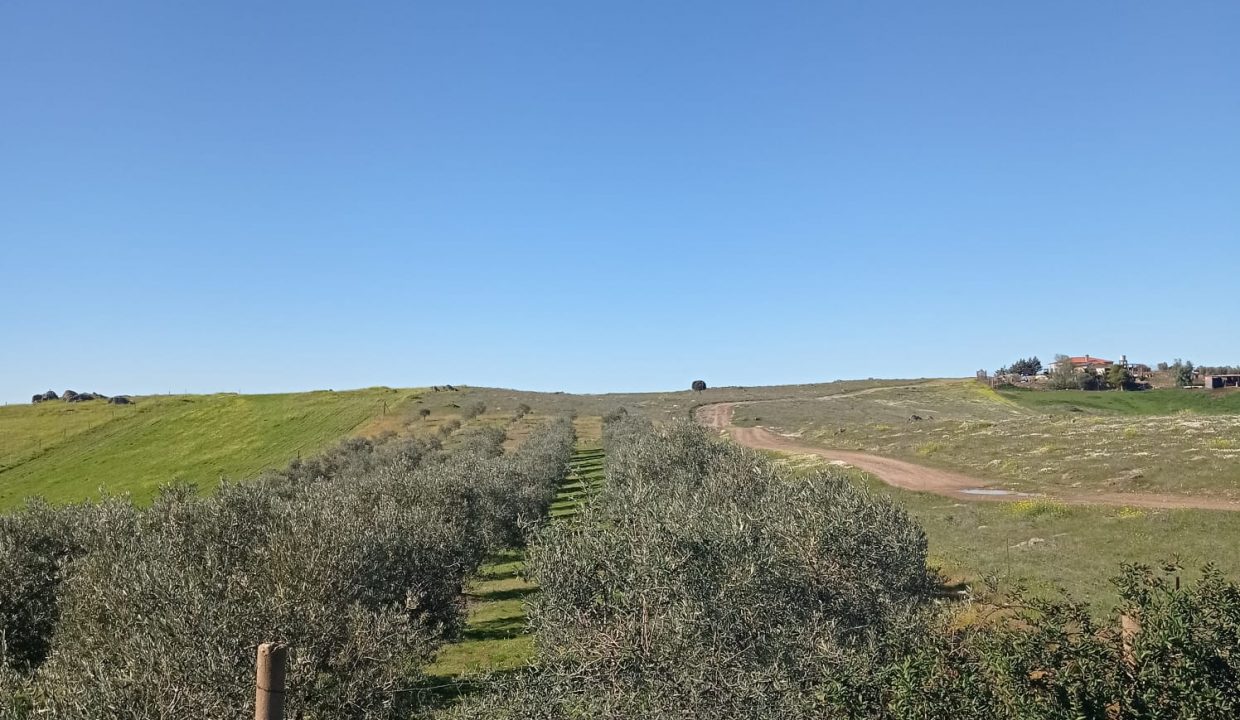 WhatsApp Image 2024-01-23 at 12.36.47