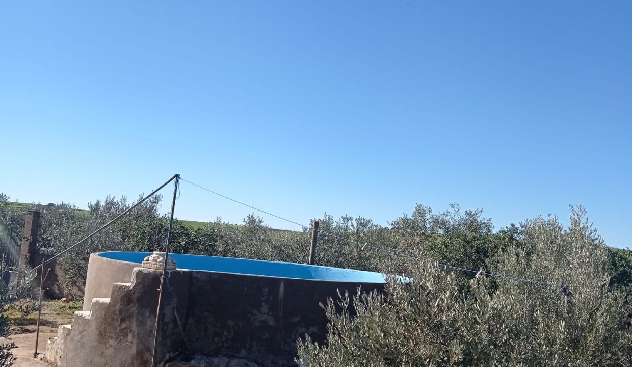 WhatsApp Image 2024-01-23 at 12.36.57