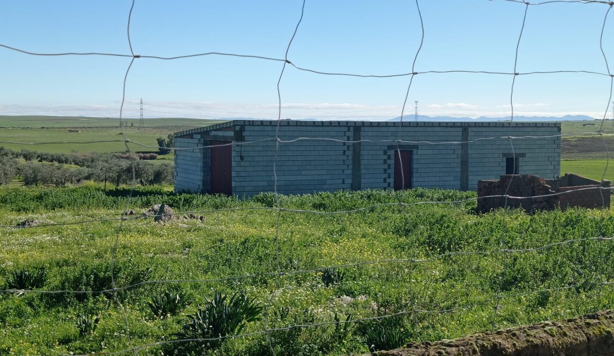 WhatsApp Image 2024-01-23 at 12.38.28