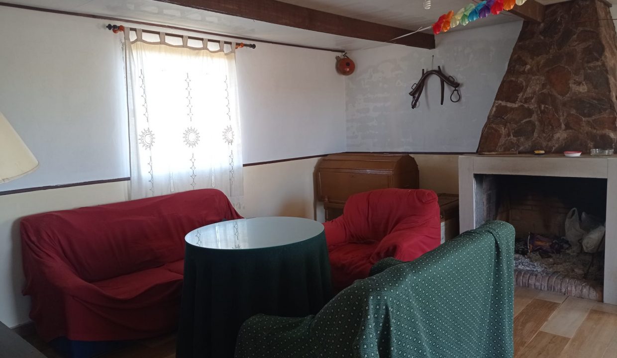 WhatsApp Image 2024-01-23 at 12.39.52