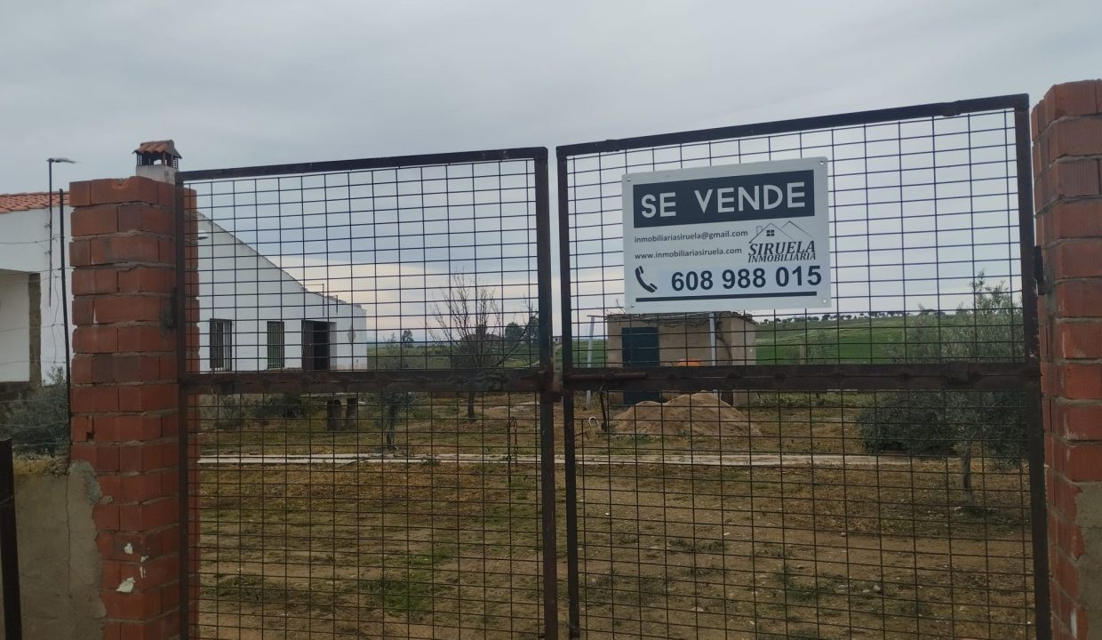 WhatsApp Image 2024-01-29 at 12.29.00