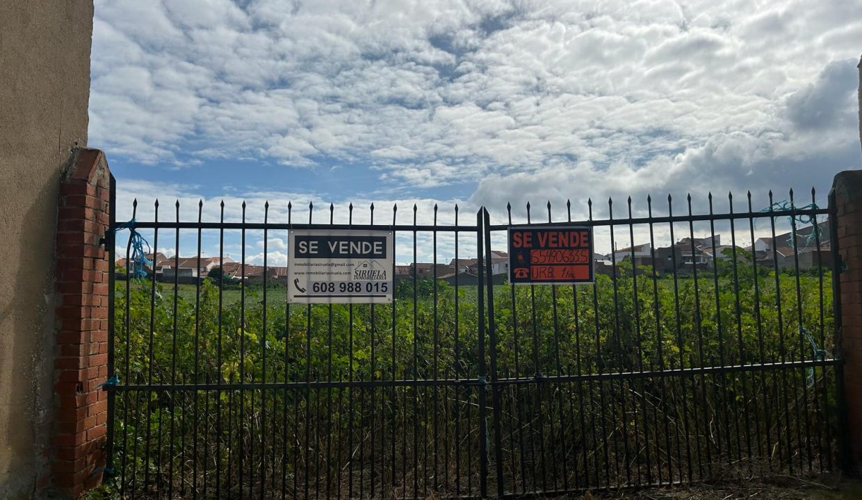 WhatsApp Image 2024-03-15 at 12.47.10 (26)