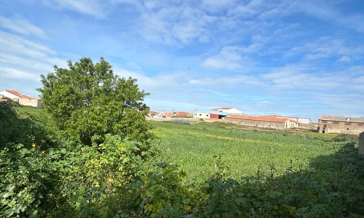 WhatsApp Image 2024-03-15 at 12.47.49 (1)