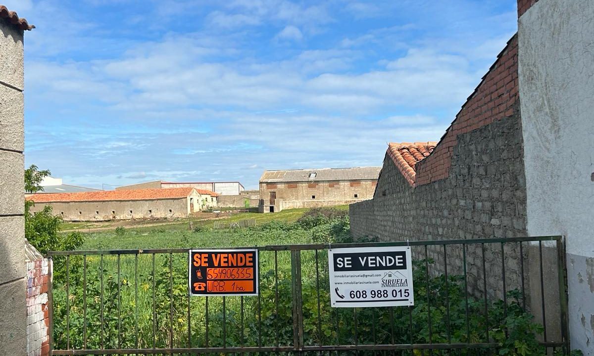 WhatsApp Image 2024-03-15 at 12.47.49 (2)