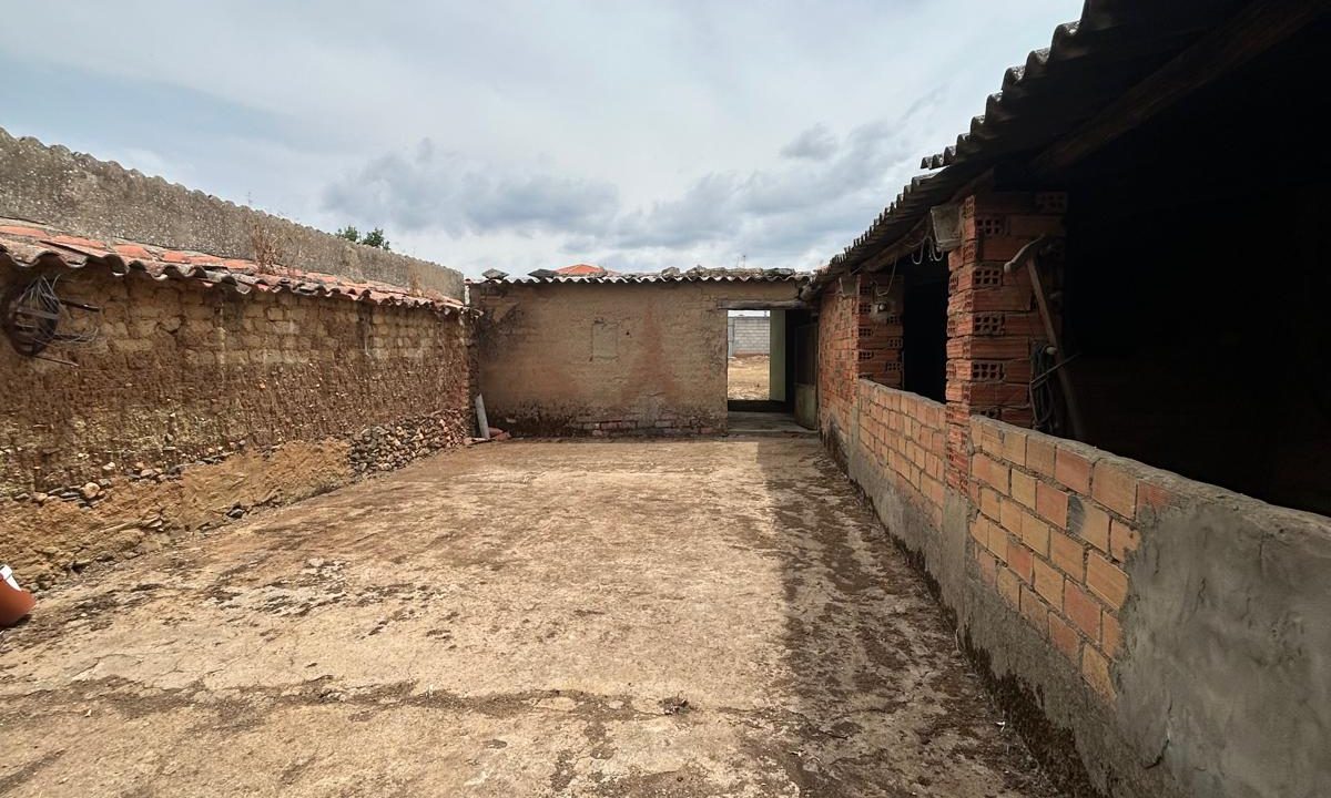 WhatsApp Image 2024-07-04 at 13.53.03 (2)