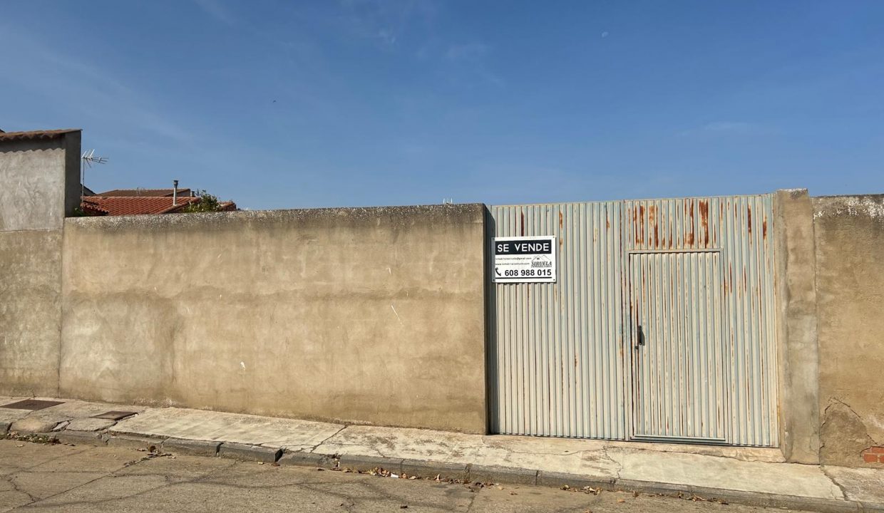 WhatsApp Image 2024-09-25 at 19.25.51