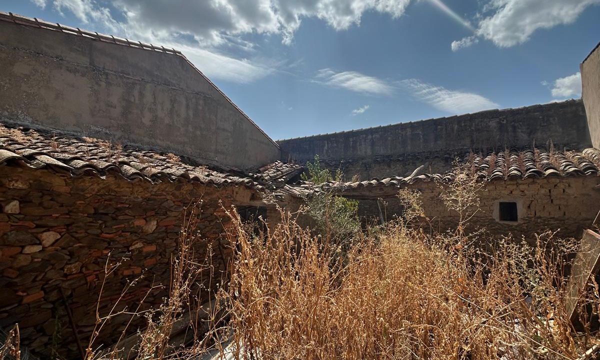 WhatsApp Image 2024-10-24 at 08.54.37