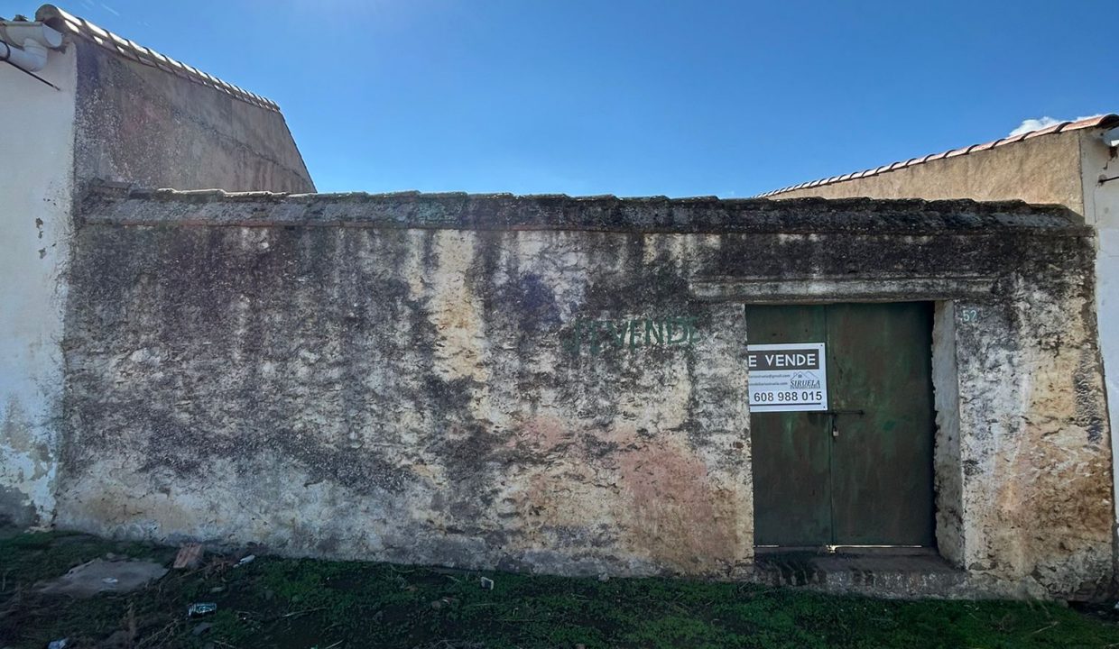 WhatsApp Image 2024-10-24 at 08.54.43