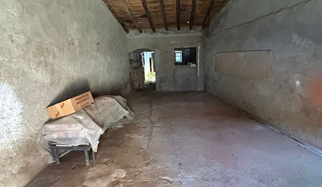 WhatsApp Image 2024-10-24 at 08.54.53