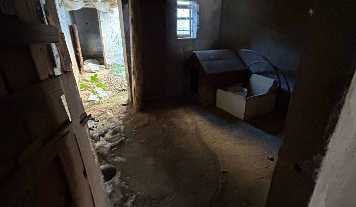 WhatsApp Image 2024-10-24 at 08.54.54 (1)