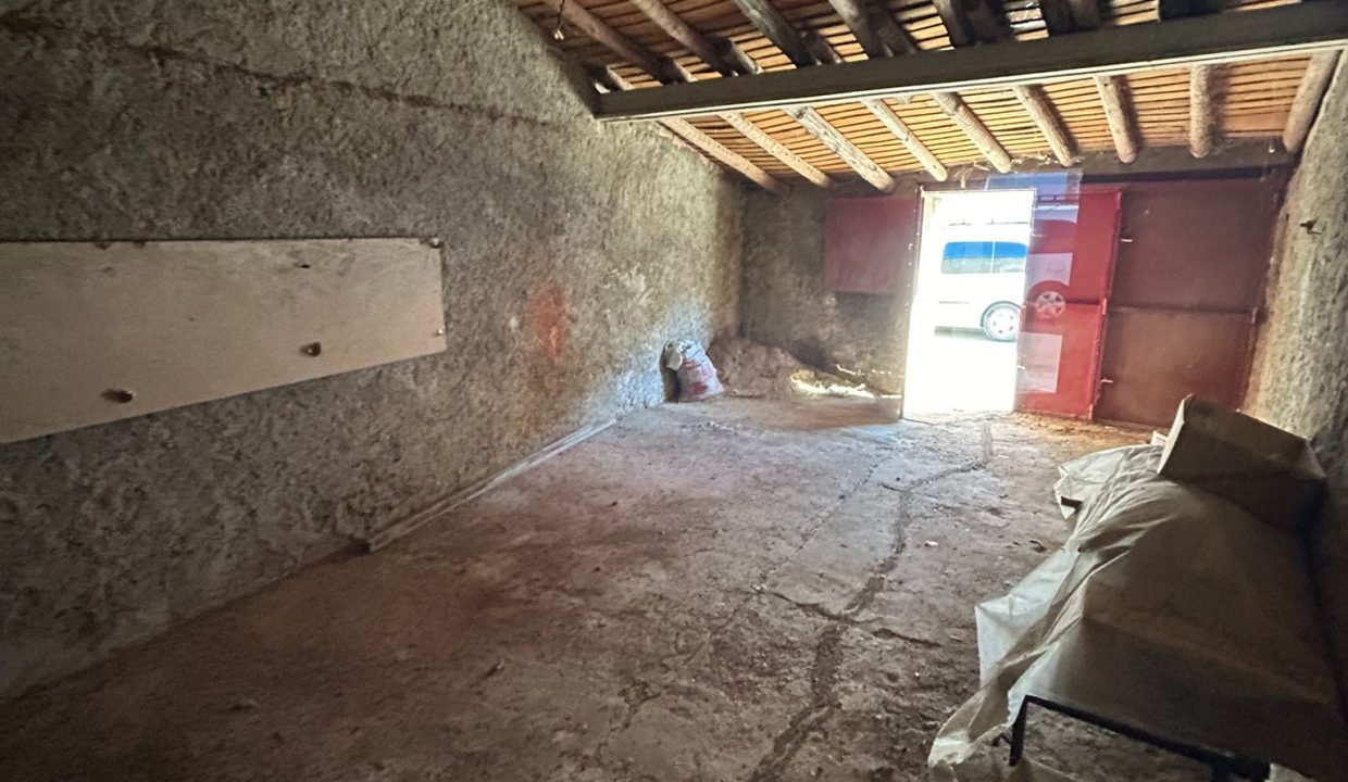 WhatsApp Image 2024-10-24 at 08.54.54