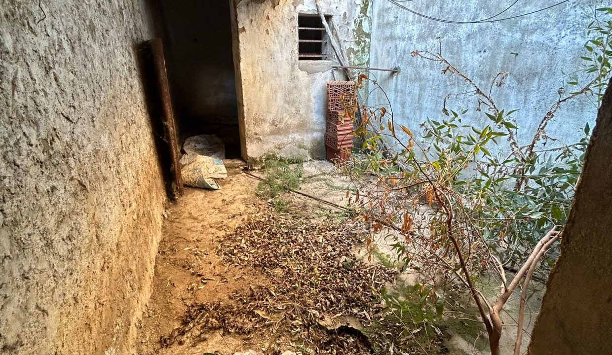 WhatsApp Image 2024-10-24 at 08.54.54 (2)