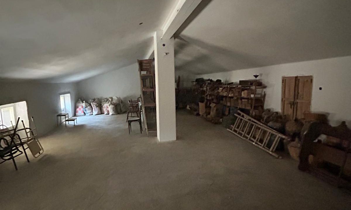 WhatsApp Image 2025-10-17 at 11.51.15 (1)