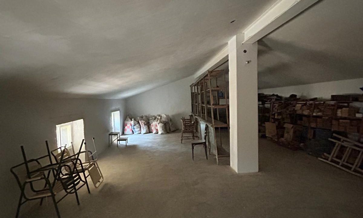 WhatsApp Image 2025-10-17 at 11.51.15