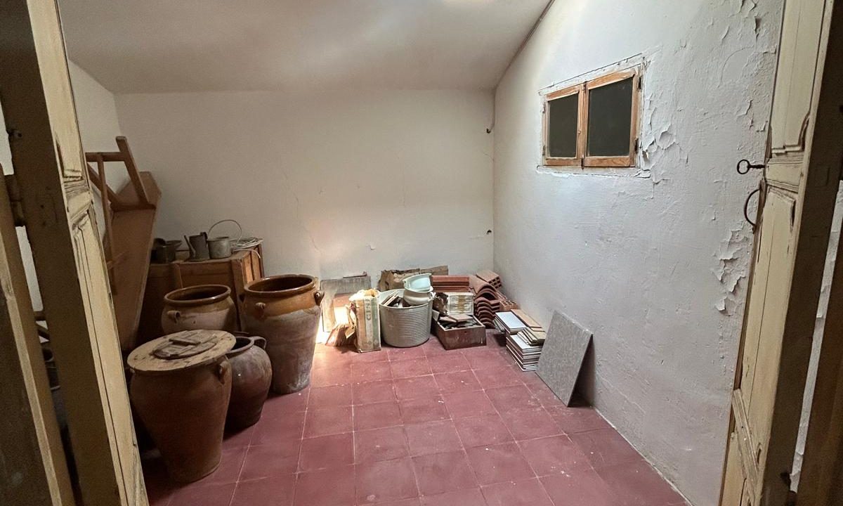 WhatsApp Image 2025-10-17 at 11.51.15 (2)