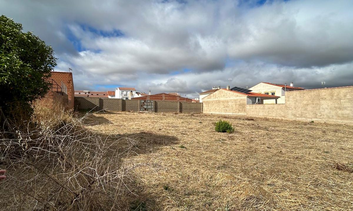 WhatsApp Image 2025-10-24 at 12.53.53 (1)