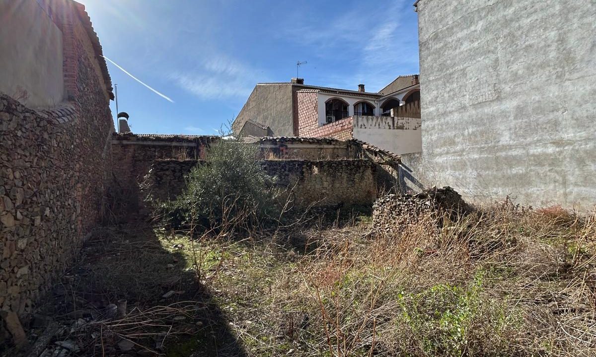 WhatsApp Image 2025-11-12 at 12.33.11