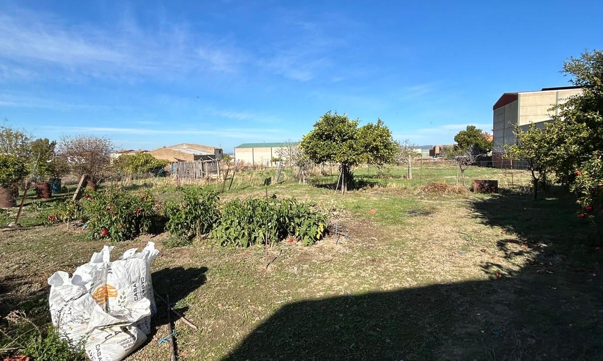 WhatsApp Image 2025-11-12 at 12.33.10