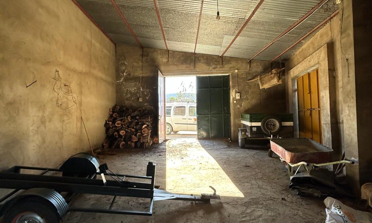 WhatsApp Image 2025-11-12 at 12.33.11 (1)