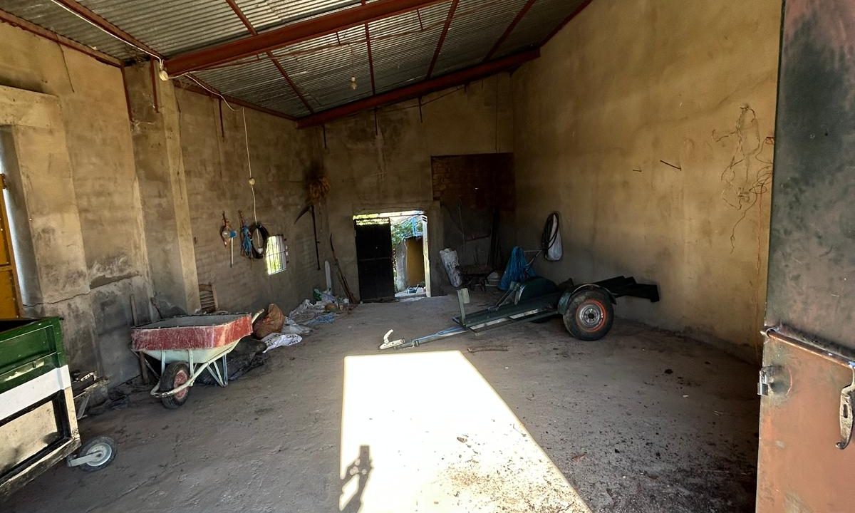 WhatsApp Image 2025-11-12 at 12.33.11 (3)