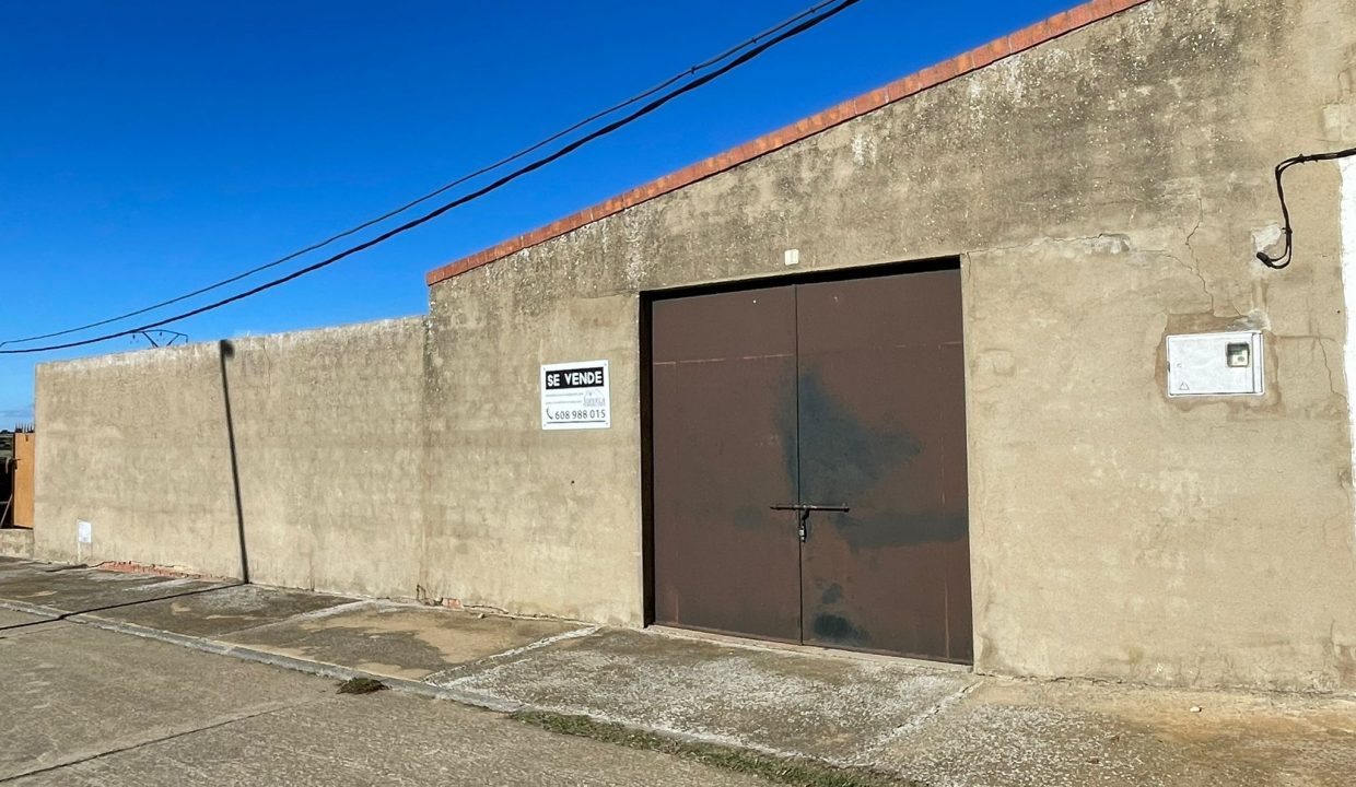 WhatsApp Image 2025-12-03 at 13.17.27