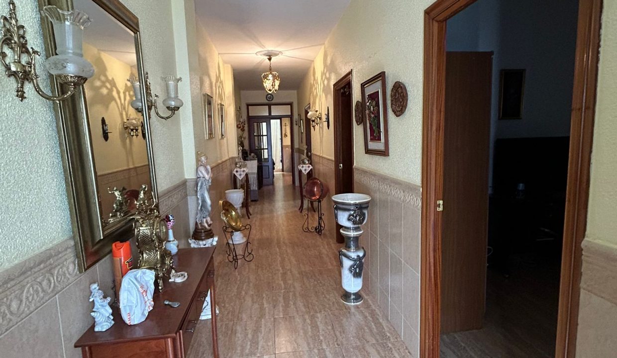 WhatsApp Image 2026-03-10 at 12.16.36 (4)